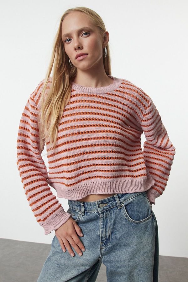 Trendyol Trendyol Powder Openwork/Hole Striped Crew Neck Knitwear Sweater