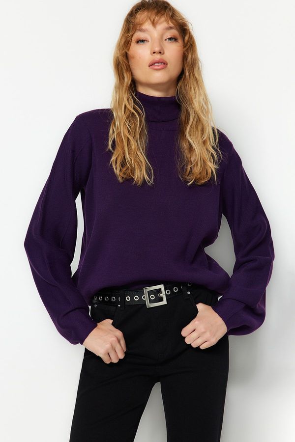 Trendyol Trendyol Purple Basic Turtleneck Knitwear Sweater