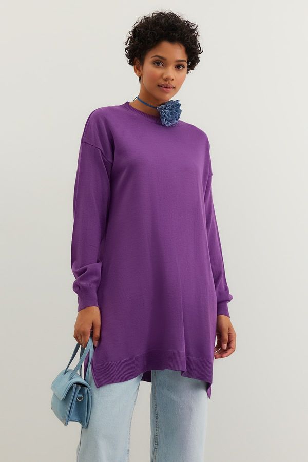 Trendyol Trendyol Purple Knitwear Sweater