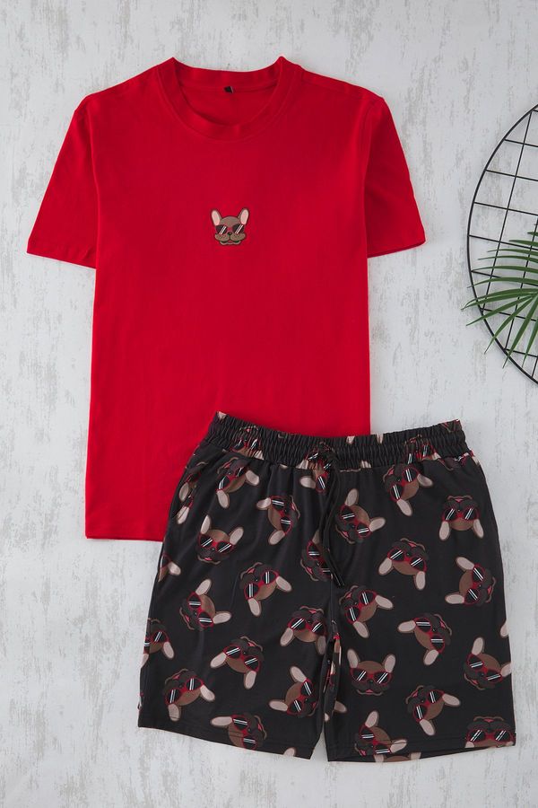 Trendyol Trendyol Red Regular Fit Printed Shorts Knitted Pajama Set