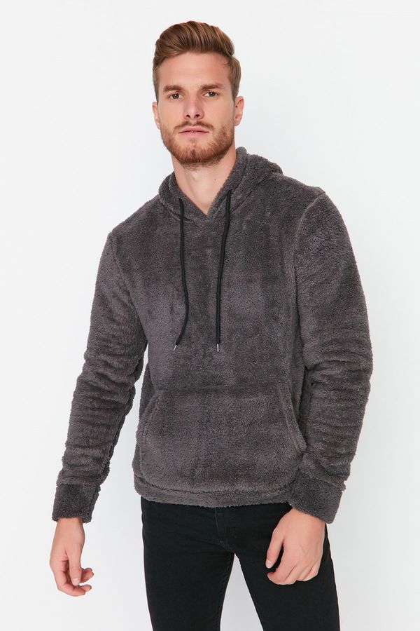 Trendyol Trendyol Smoke Regular/Normal Cut Hooded Warm Plush Sweatshirt