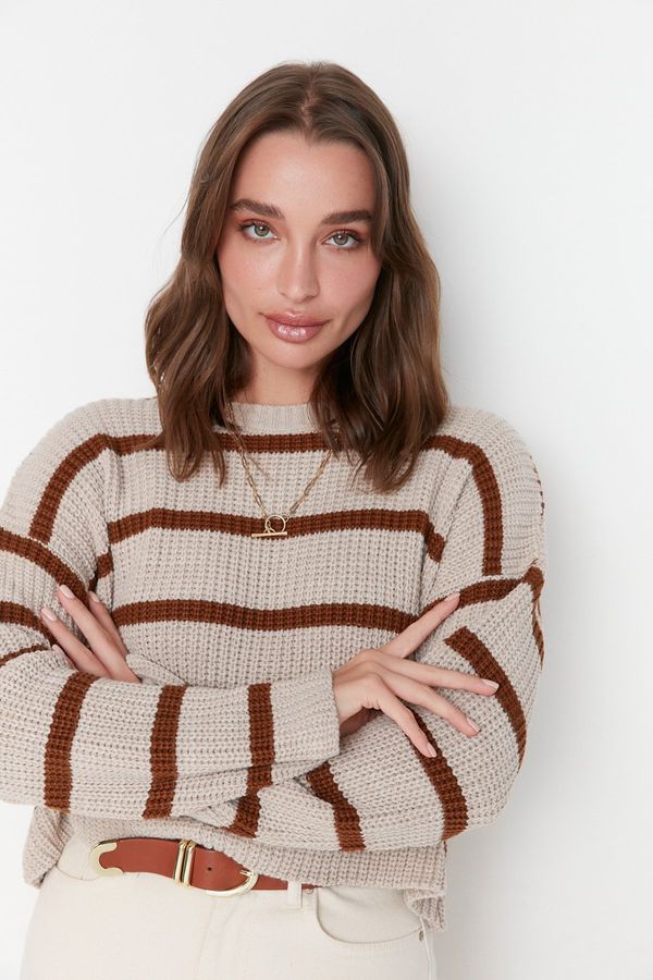 Trendyol Trendyol Stone Crop Basic Striped Knitwear Sweater