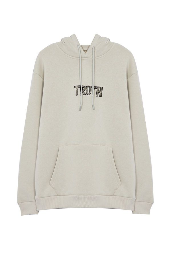 Trendyol Trendyol Stone Oversize/Wide Cut Letter Embroidered Hooded Sweatshirt with Fleece Inside