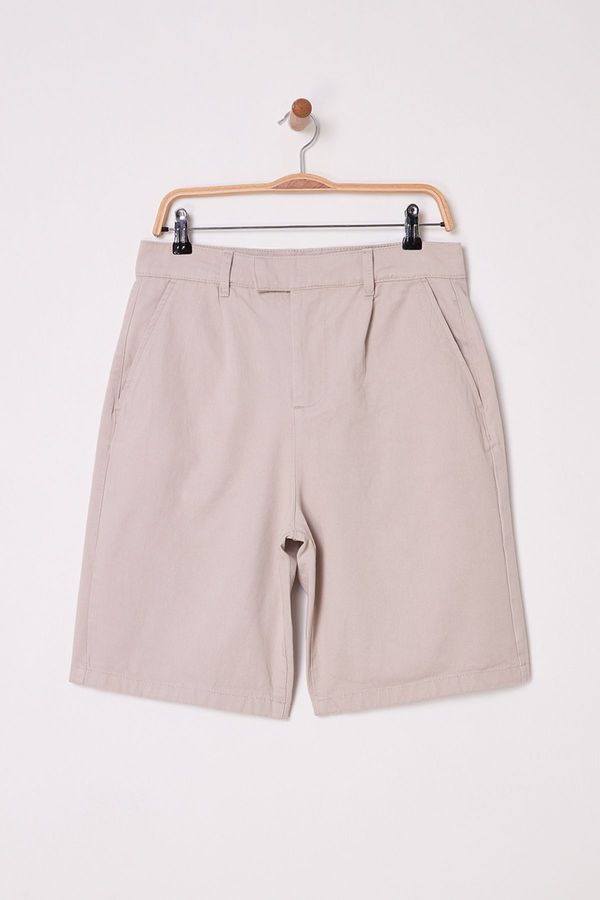 Trendyol Trendyol Stone Regular Shorts & Bermuda