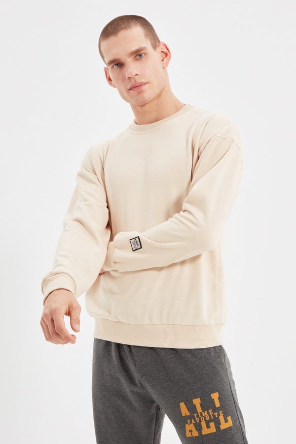 Trendyol Trendyol Stone Regular/Normal Cut Sweatshirt