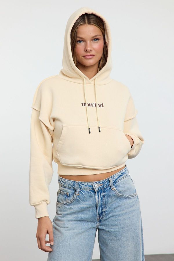 Trendyol Trendyol Stone Slogan Printed Oversize Crop Thick Inside Fleece Knitted Sweatshirt