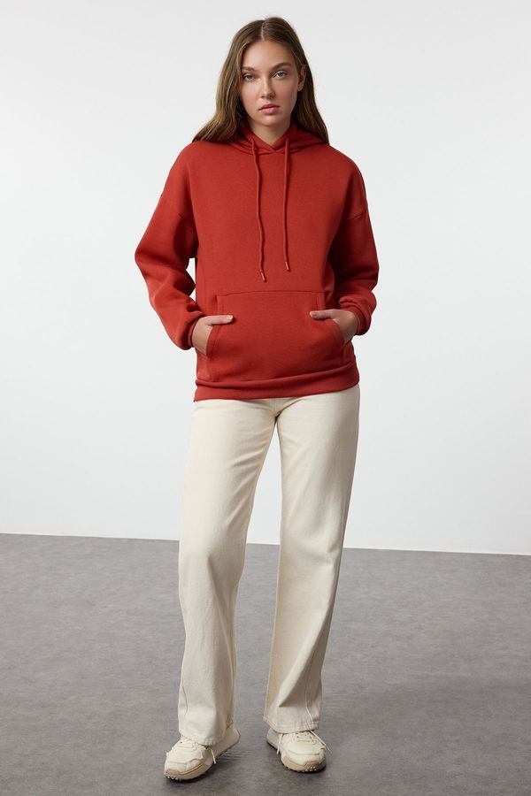 Trendyol Trendyol Tile Thick Fleece Inside Oversize/Wide Fit Hooded Basic Knitted Sweatshirt