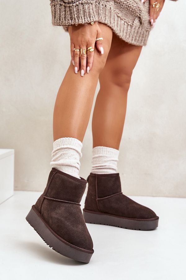 Kesi Women's suede snow boots on a platform above the ankles brown Rianaella