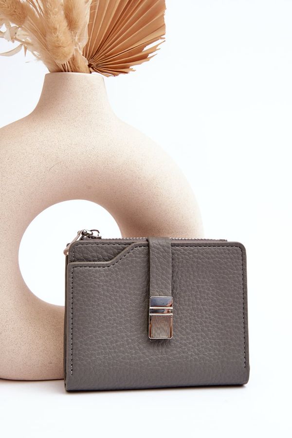 Kesi Women's wallet made of eco-leather gray Lazara