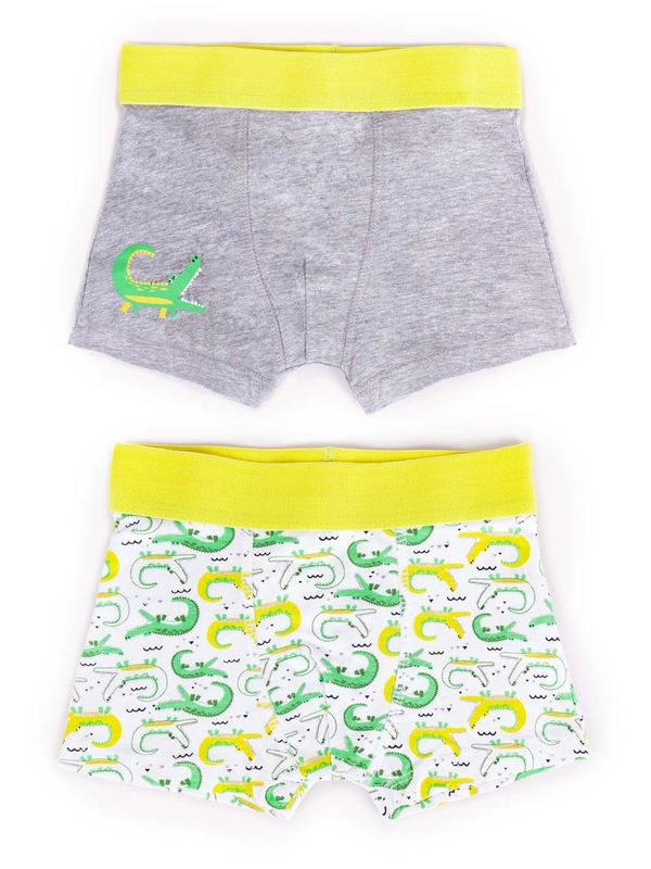 Yoclub Yoclub Kids's Cotton Boys' Boxer Briefs Underwear 2-pack BMB-0011C-AA30-001