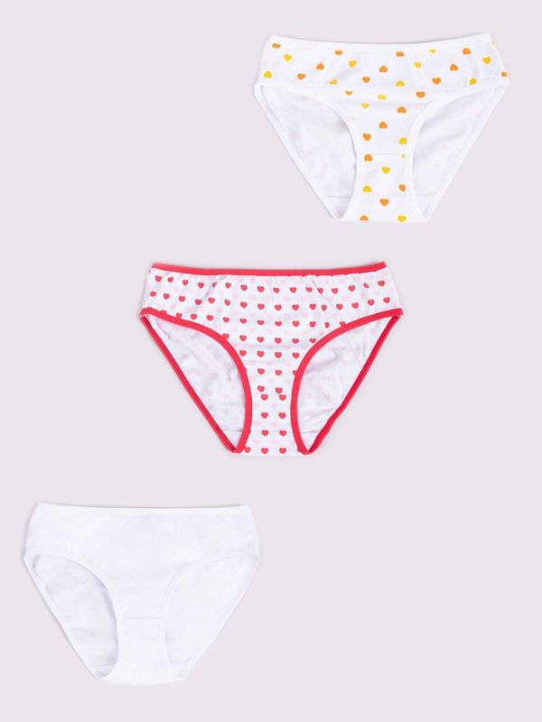 Yoclub Yoclub Kids's Cotton Girls' Briefs Underwear 3-Pack BMD-0037G-AA20-002