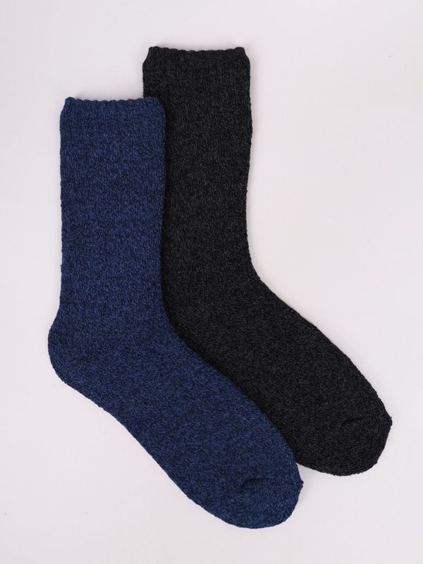 Yoclub Yoclub Man's 2Pack Socks SKA-0176F-0000-002