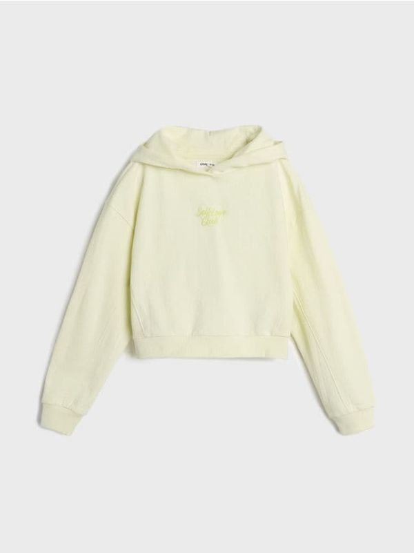 Sinsay Sinsay - Dukserica s vezenim detaljima - lajm