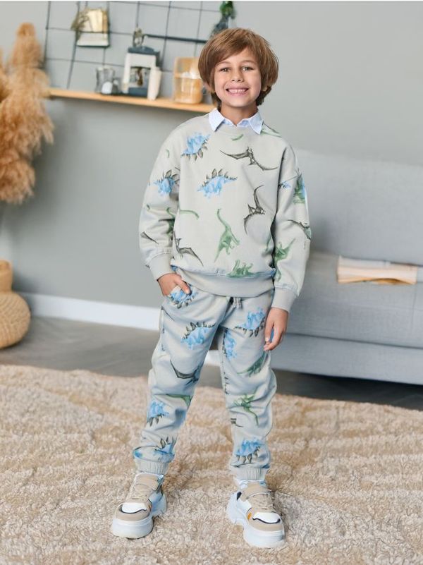 Sinsay Sinsay - Gornji deo trenerke - svetlo siva