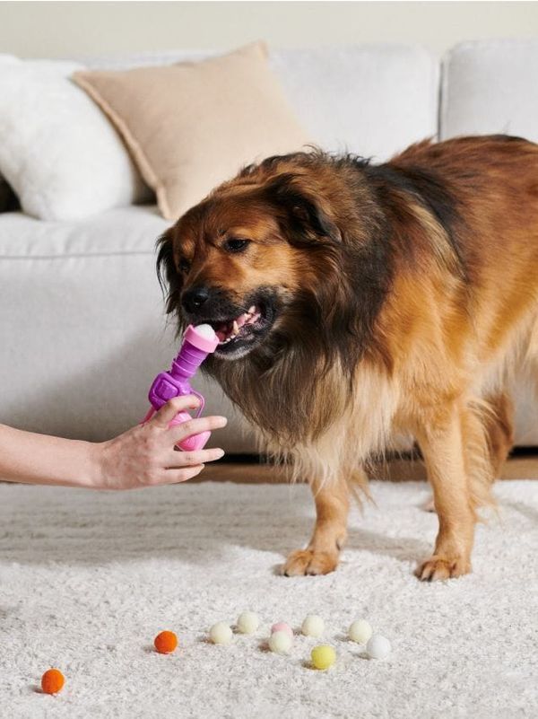 Sinsay Sinsay - Igračka za kućnog ljubimca - pastelno roze