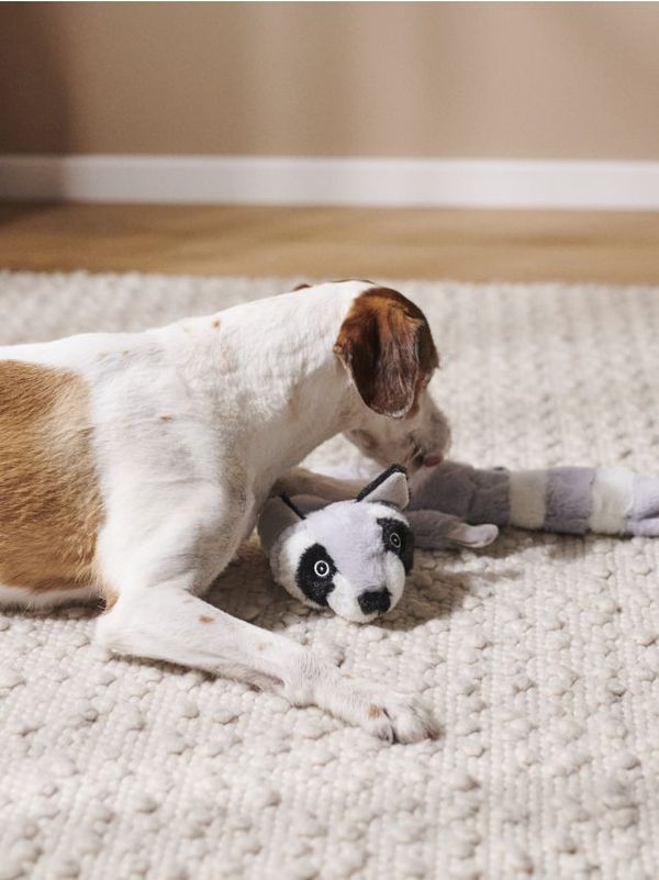 Sinsay Sinsay - Igračka za kućnog ljubimca - svetlo siva
