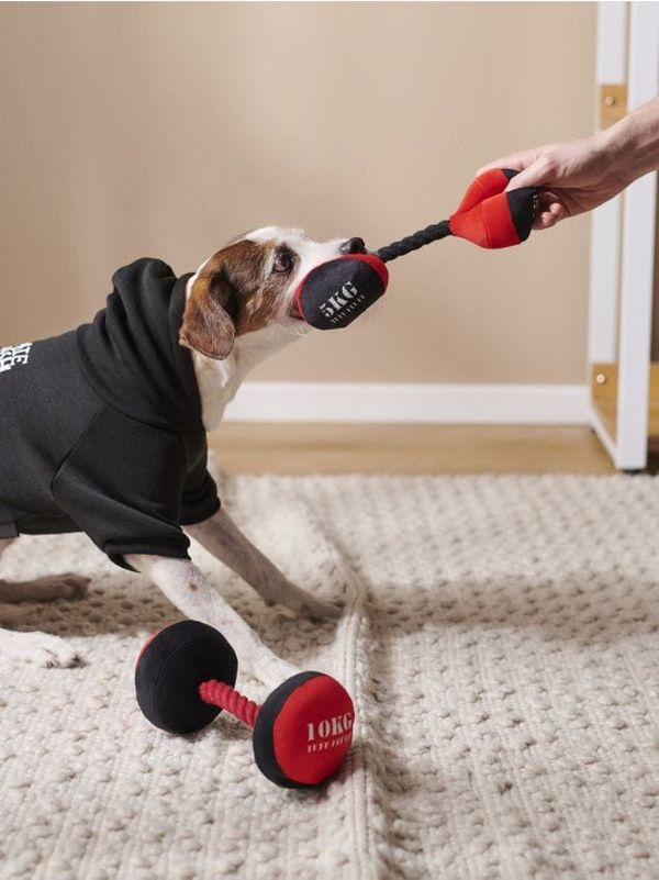 Sinsay Sinsay - Igračka za psa 2 pack - crvena