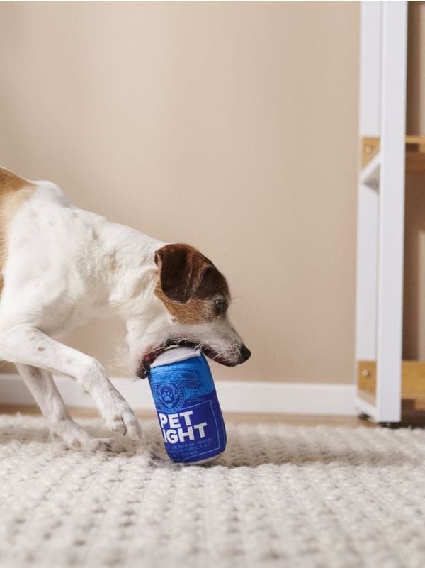 Sinsay Sinsay - Igračka za psa - bledoplavo