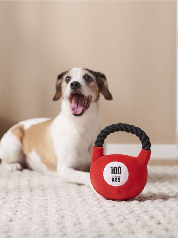 Sinsay Sinsay - Igračka za psa - crvena