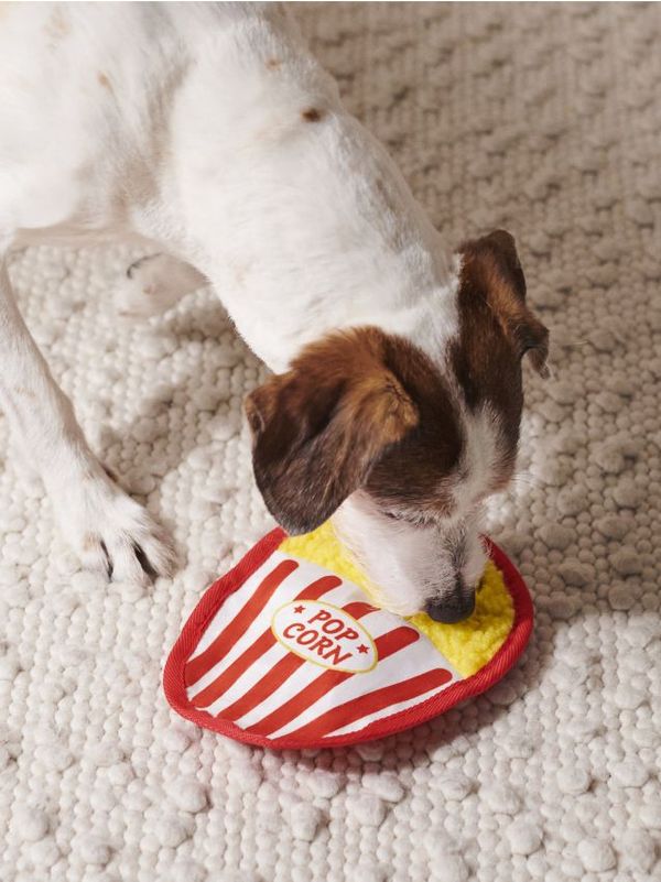 Sinsay Sinsay - Igračka za psa - crvena