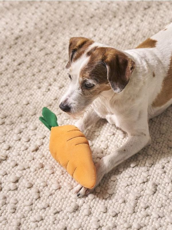 Sinsay Sinsay - Igračka za psa - narandžasto