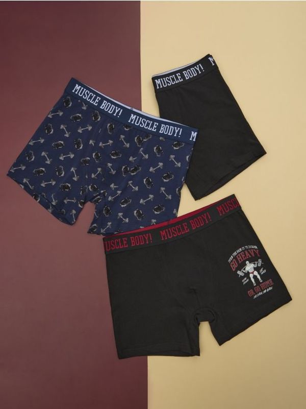 Sinsay Sinsay - Komplet od 3 para bokserica - šareno