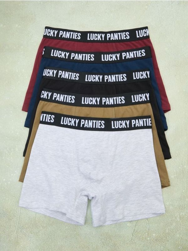 Sinsay Sinsay - Komplet od 5 pari bokserica - šareno