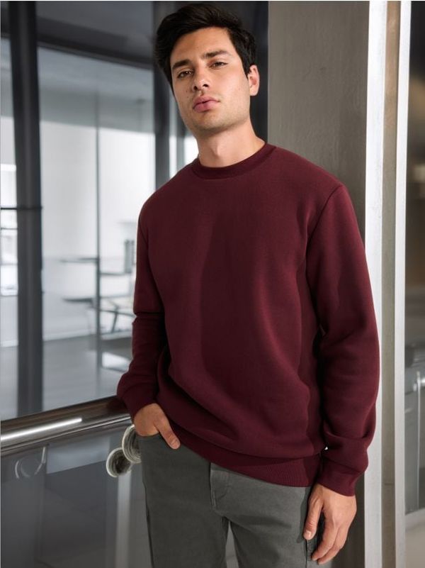 Sinsay Sinsay - Majica s kapuljačom Basic - maroon