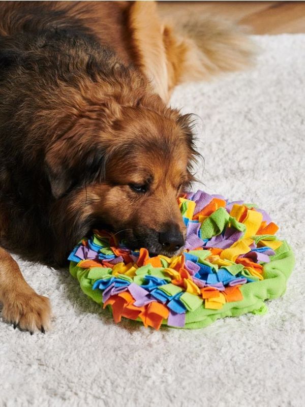 Sinsay Sinsay - Njuhalica prostirka - šareno