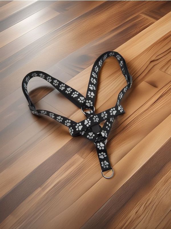 Sinsay Sinsay - Oprsnici za psa - crno