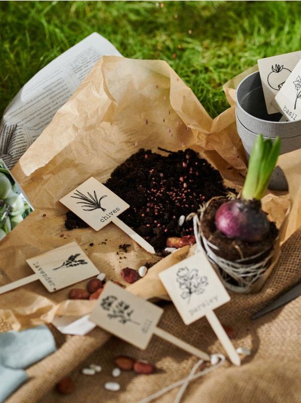 Sinsay Sinsay - Oznake za saksije 20 pack - BEŽ