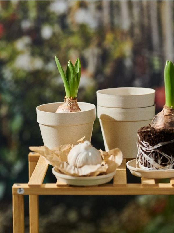 Sinsay Sinsay - Pakovanje od 3 saksije - BEŽ