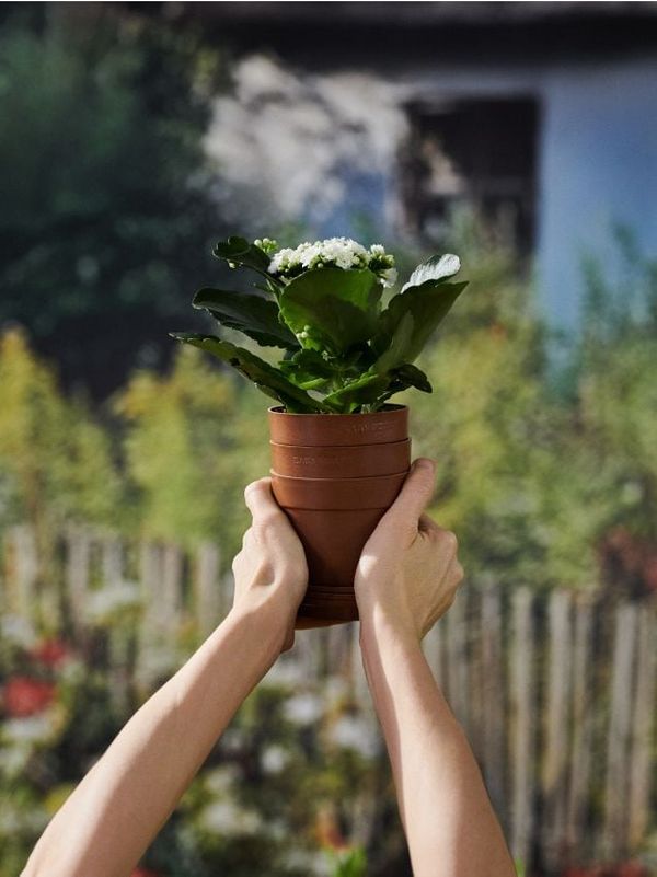 Sinsay Sinsay - Pakovanje od 3 saksije - braon