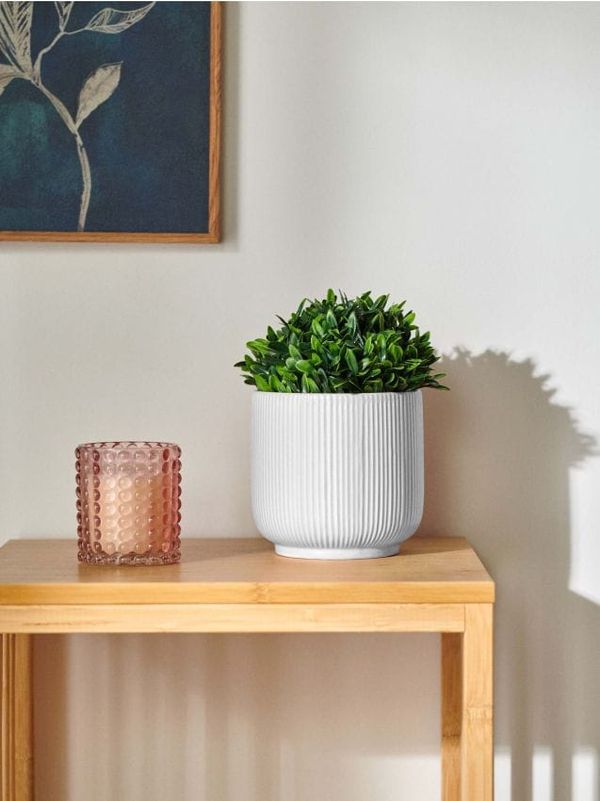 Sinsay Sinsay - Poklopac saksije - belo