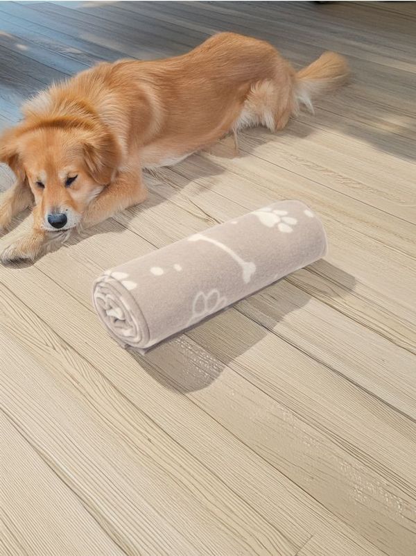 Sinsay Sinsay - Pokrivač za ljubimce - svetlo siva