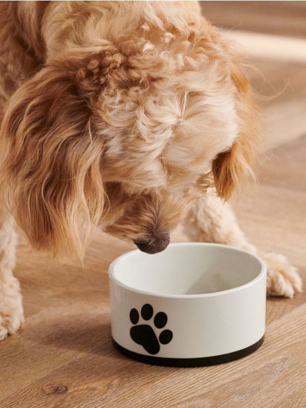 Sinsay Sinsay - Posuda za mačke - krem