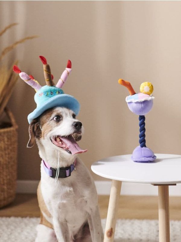 Sinsay Sinsay - Pribora za kućnog ljubimca - bledoplavo