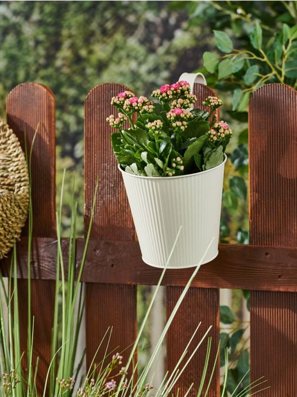 Sinsay Sinsay - Saksija - krem