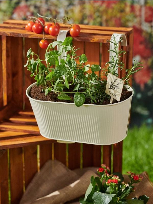 Sinsay Sinsay - Saksija - krem