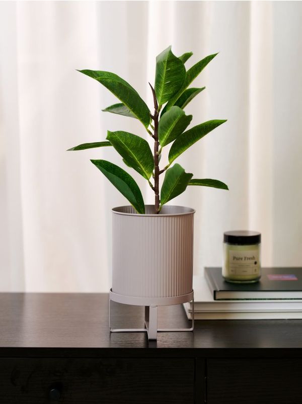 Sinsay Sinsay - Ukrasna veštačka biljka - tamno zelena